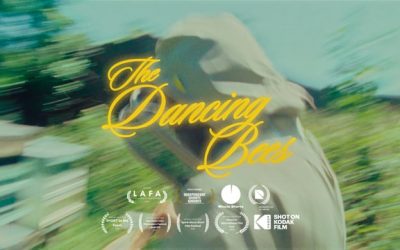 The Dancing Bees – A Visual Poem of Conservation