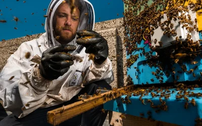 Unveiling the Genetic Tapestry of Devon’s Honey Bees