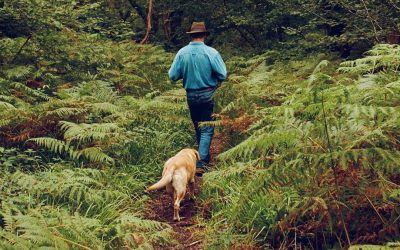 Our Oaken Bones – An Inspiring Environmental Talk at Calstock Arts