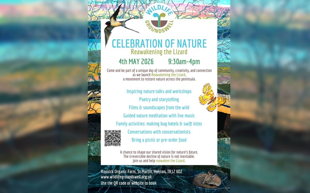 Proud to Support Wildlife Groundswell’s NATURE Festival